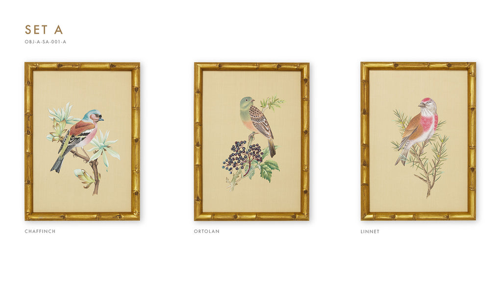 Three Framed Bird Artworks (Set A)
