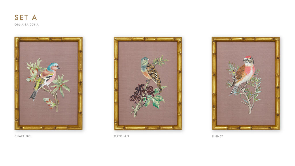 Three Framed Bird Artworks (Set A)