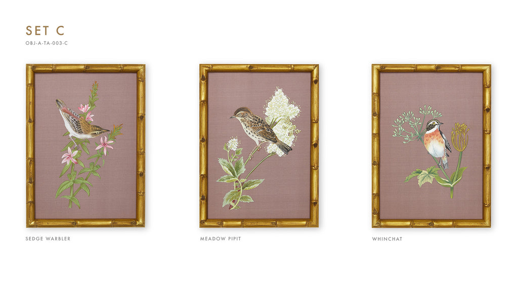 Three Framed Bird Artworks (Set C)
